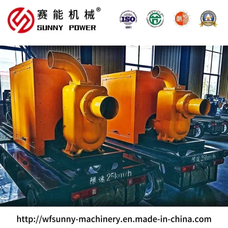 10-inch Mine Drainage Pump / High-pressure Drainage Pump.