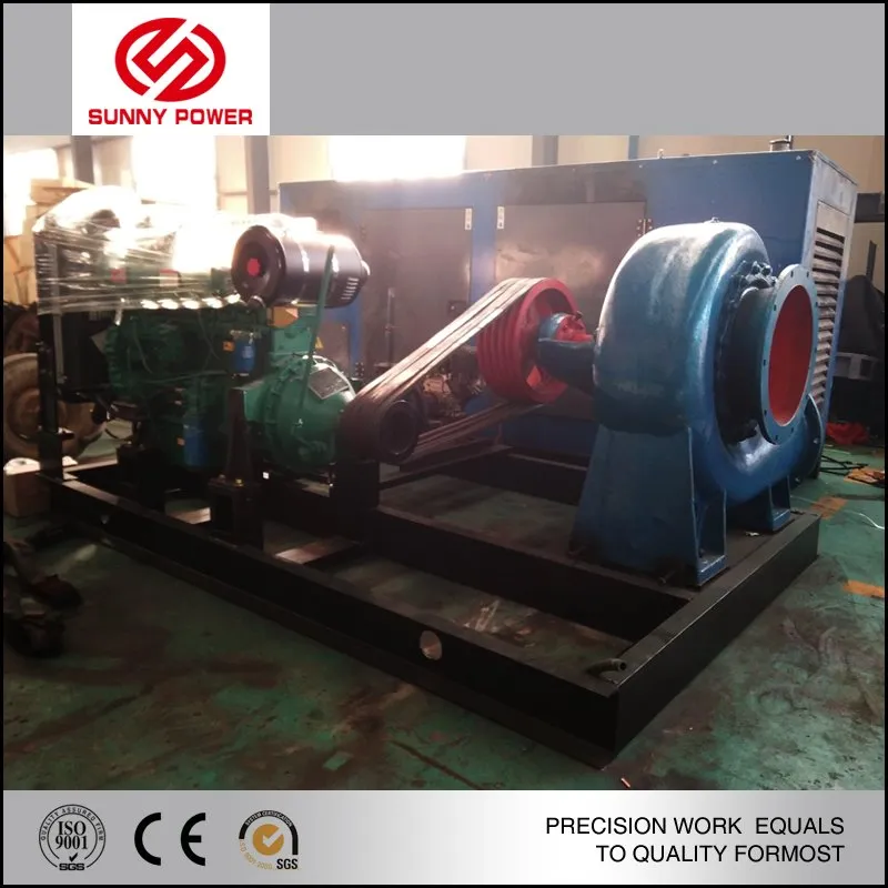 Flood Draining Water Pump