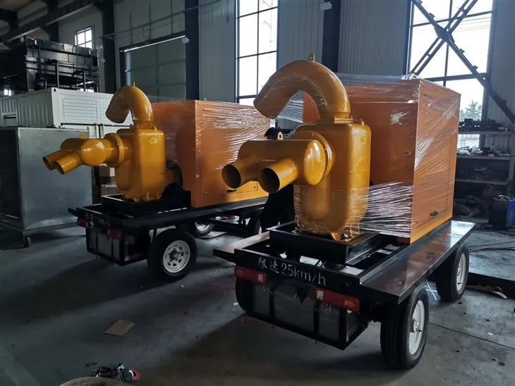 IMG_202411298870_4000x3000